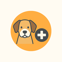 Домашни любимци, ветеринари, клиники, площадки, опасни места